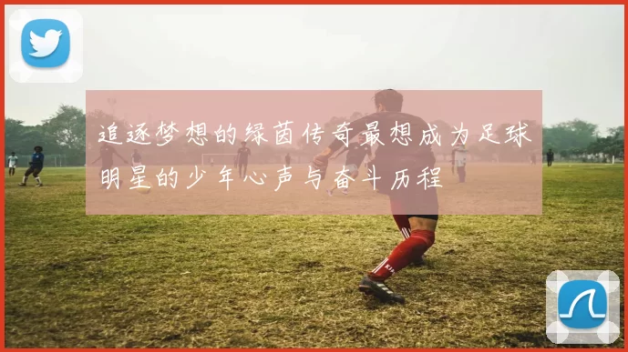 追逐梦想的绿茵传奇最想成为足球明星的少年心声与奋斗历程