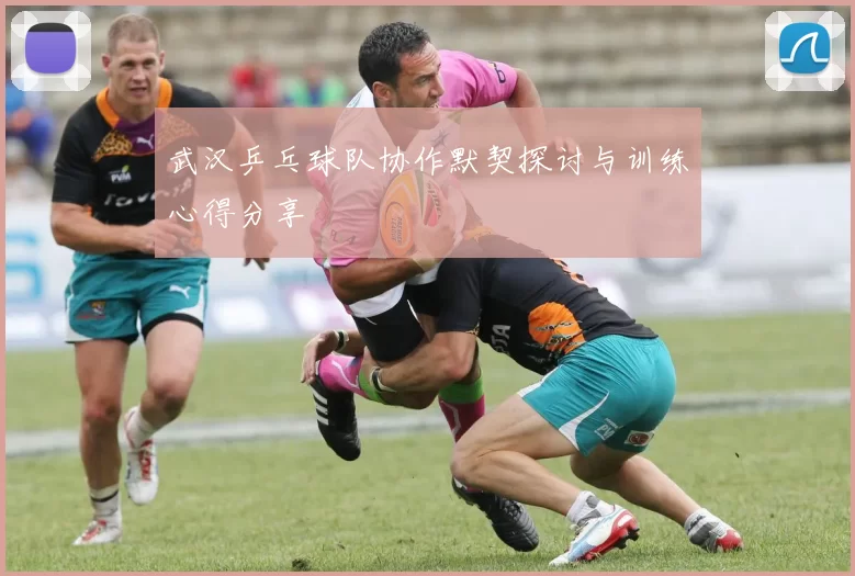 武汉乒乓球队协作默契探讨与训练心得分享