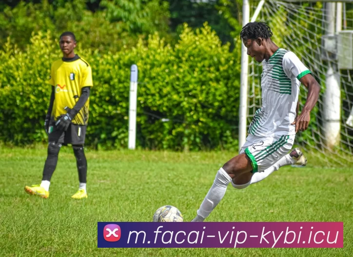 乐竞体育平台生态图